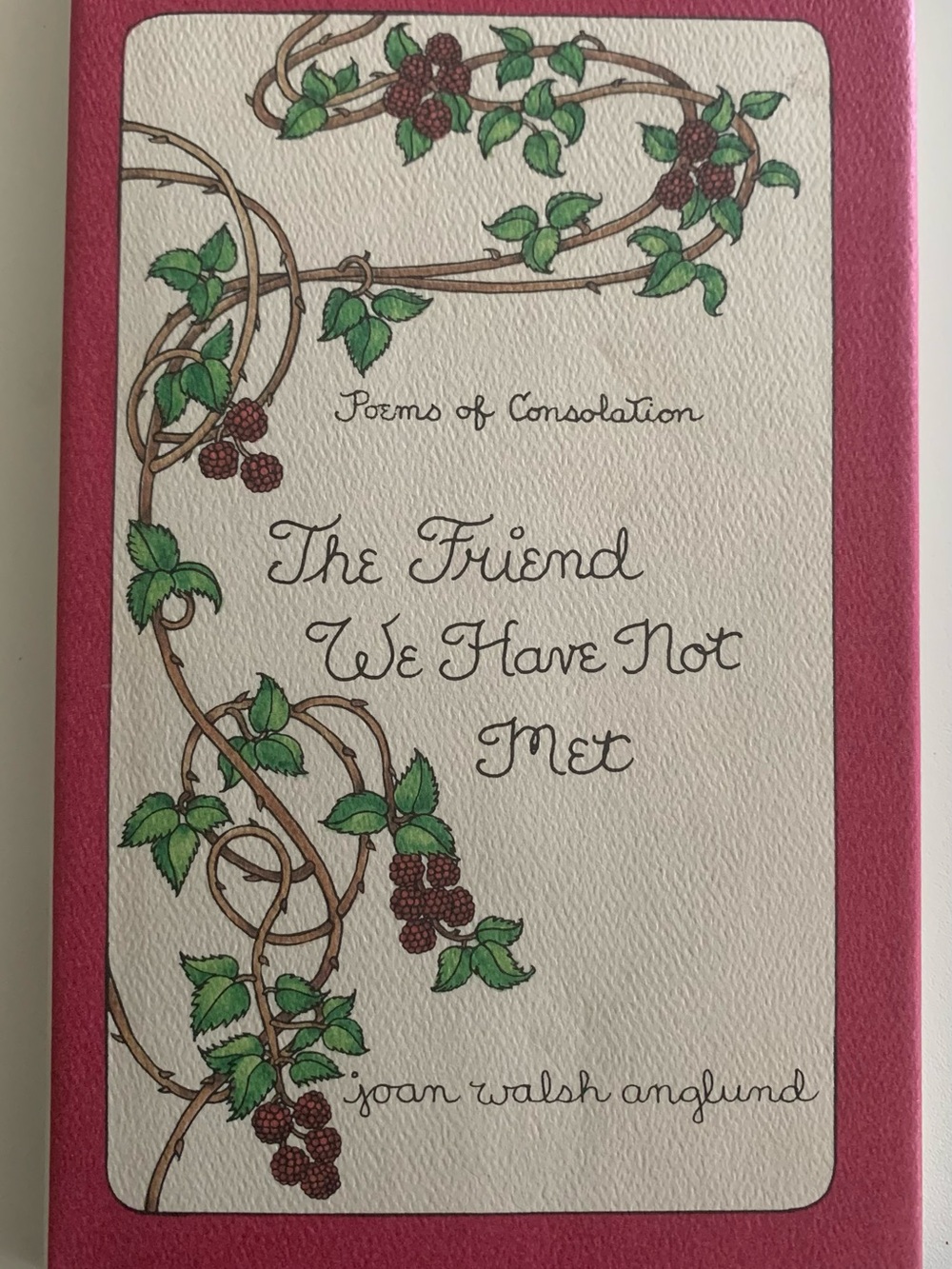 The Friend We Have Not Met by Joan Walsh Anglund Poems of Consolation Hardcover